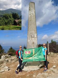 Lysá hora1324 m n. m. je nejvyšší vrchol Moravskoslezských Beskyd a Těšínska. Leží na rozhraní obcí Krásná, Malenovice, Ostravice a Staré Hamry. Na holém (lysém) vrcholu, na který vede silnice z Krásné, se nachází charakteristický telekomunikační vysílač, meteorologická stanice a několik horských chat.