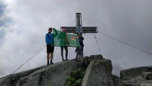 Plechý (německy Plöckenstein) je 1378 m vysoká hora ležící v pohoří Šumava na česko–rakouské hranici. Je nejvyšším vrcholem Jihočeského kraje, pátým nejvyšším vrcholem na Šumavě, nejvyšším vrcholem české i rakouské části Šumavy[pozn 1] a zároveň i  a hornorakouského Mühlviertelu.